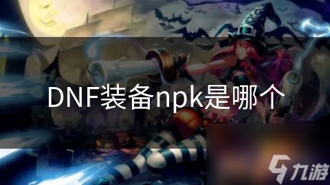 DNF装备npk是哪个