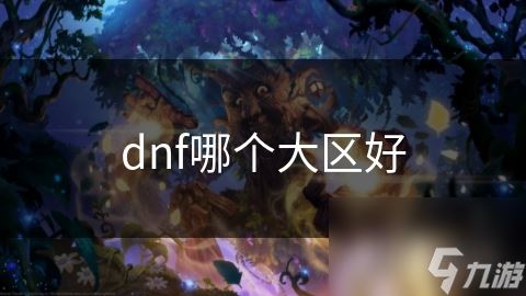 dnf哪个大区好