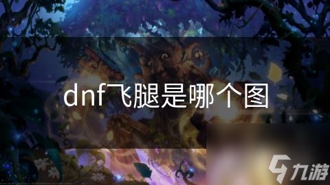 dnf飞腿是哪个图