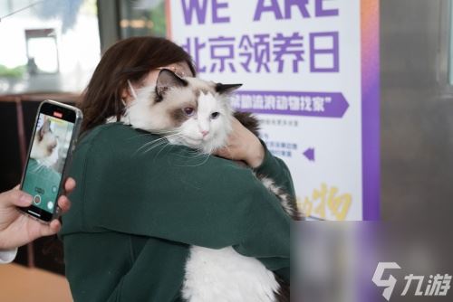 猫咪和汤×北京领养日×小米食堂送你一只猫