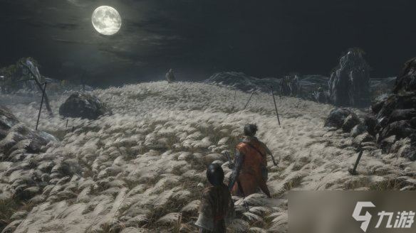 《只狼：影逝二度》游戏背景介绍