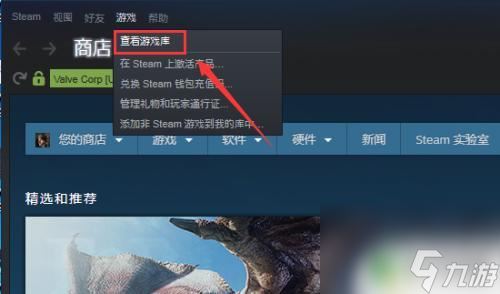 如何看steam的游戏 Steam怎么查看我已经购买的游戏