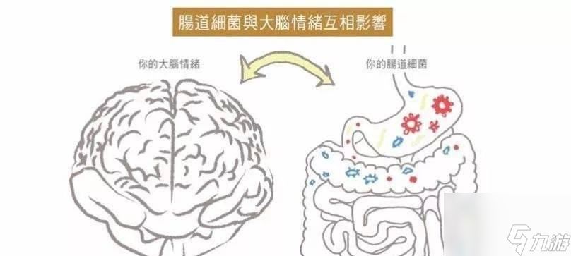 《人体工厂》咀嚼车间通关技巧大揭秘（游戏攻略带你玩转咀嚼车间）