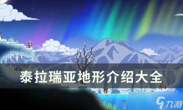 泰拉瑞亚地形介绍大全