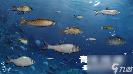 天天钓鱼水族馆收入如何计算 天天钓鱼水族馆收入计算方法